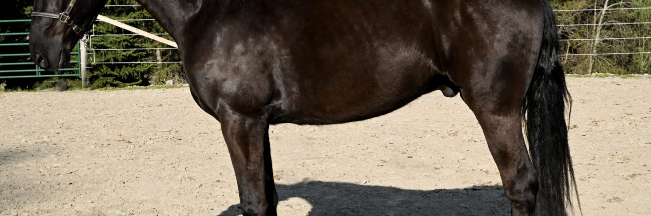 5f0182e91d94bab3a3aab4d263a8571a