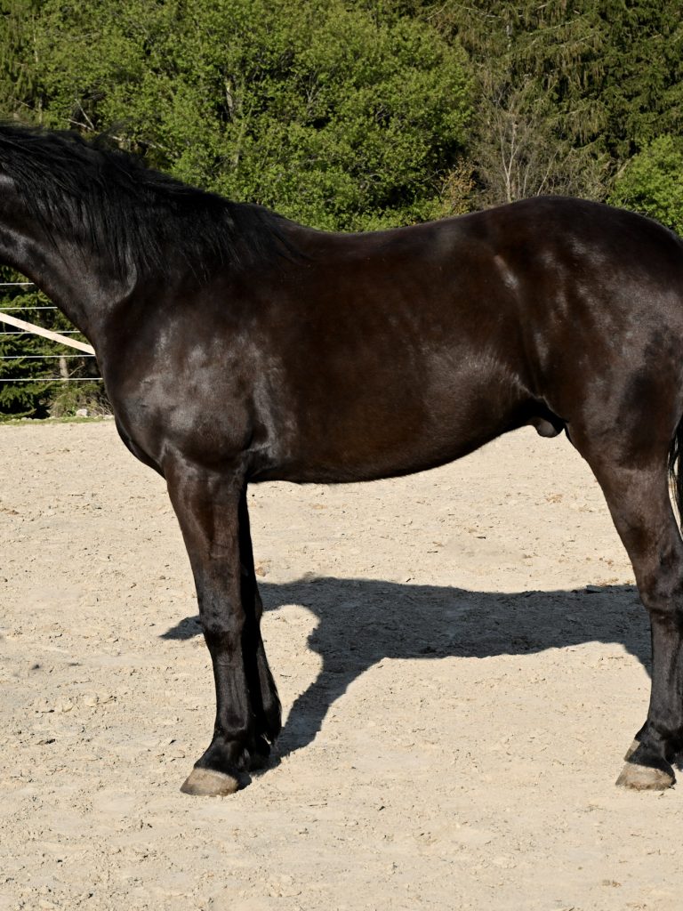 5f0182e91d94bab3a3aab4d263a8571a