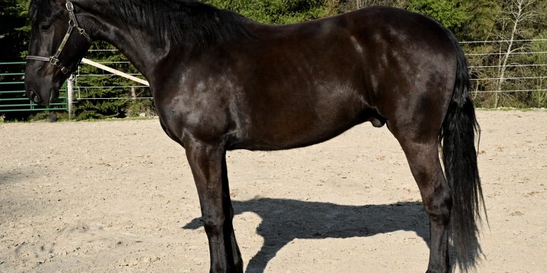 5f0182e91d94bab3a3aab4d263a8571a