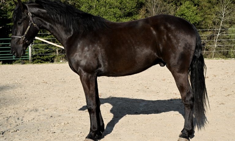 5f0182e91d94bab3a3aab4d263a8571a