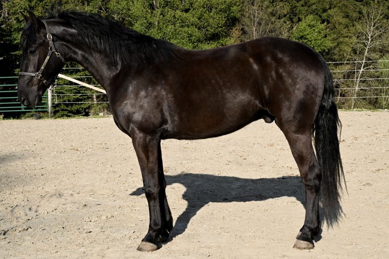 5f0182e91d94bab3a3aab4d263a8571a