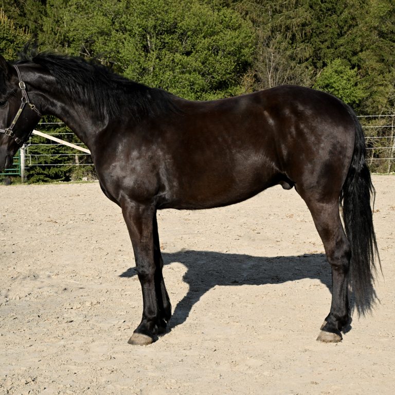 5f0182e91d94bab3a3aab4d263a8571a