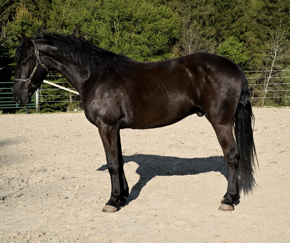 5f0182e91d94bab3a3aab4d263a8571a