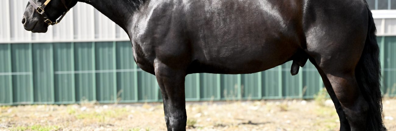 8be42b190c53c8168a595bd360cb00cf