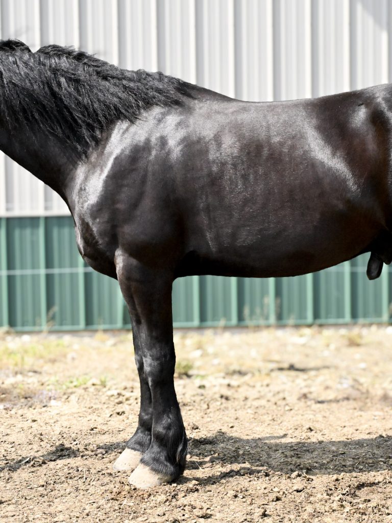 8be42b190c53c8168a595bd360cb00cf