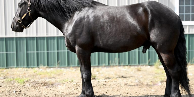 8be42b190c53c8168a595bd360cb00cf