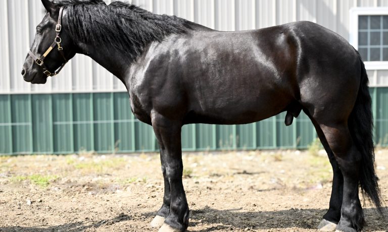 8be42b190c53c8168a595bd360cb00cf