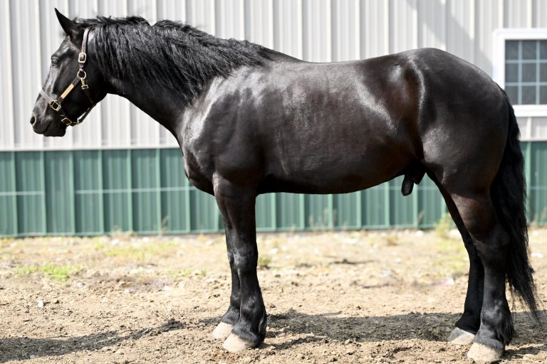 8be42b190c53c8168a595bd360cb00cf