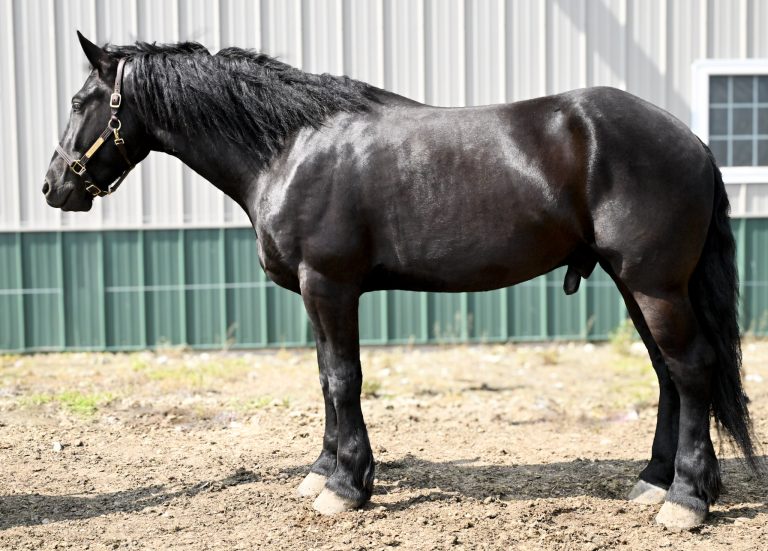 8be42b190c53c8168a595bd360cb00cf