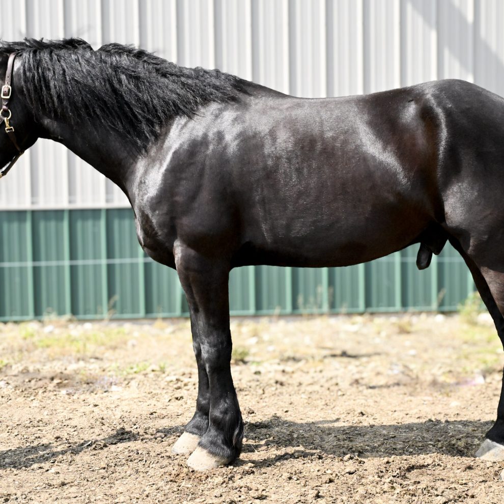 8be42b190c53c8168a595bd360cb00cf