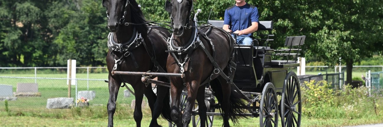 Bonnie_Clyde_IMG_5938