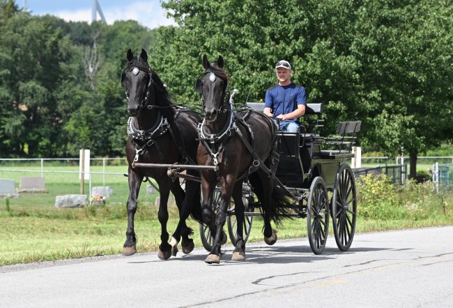 Bonnie_Clyde_IMG_5938