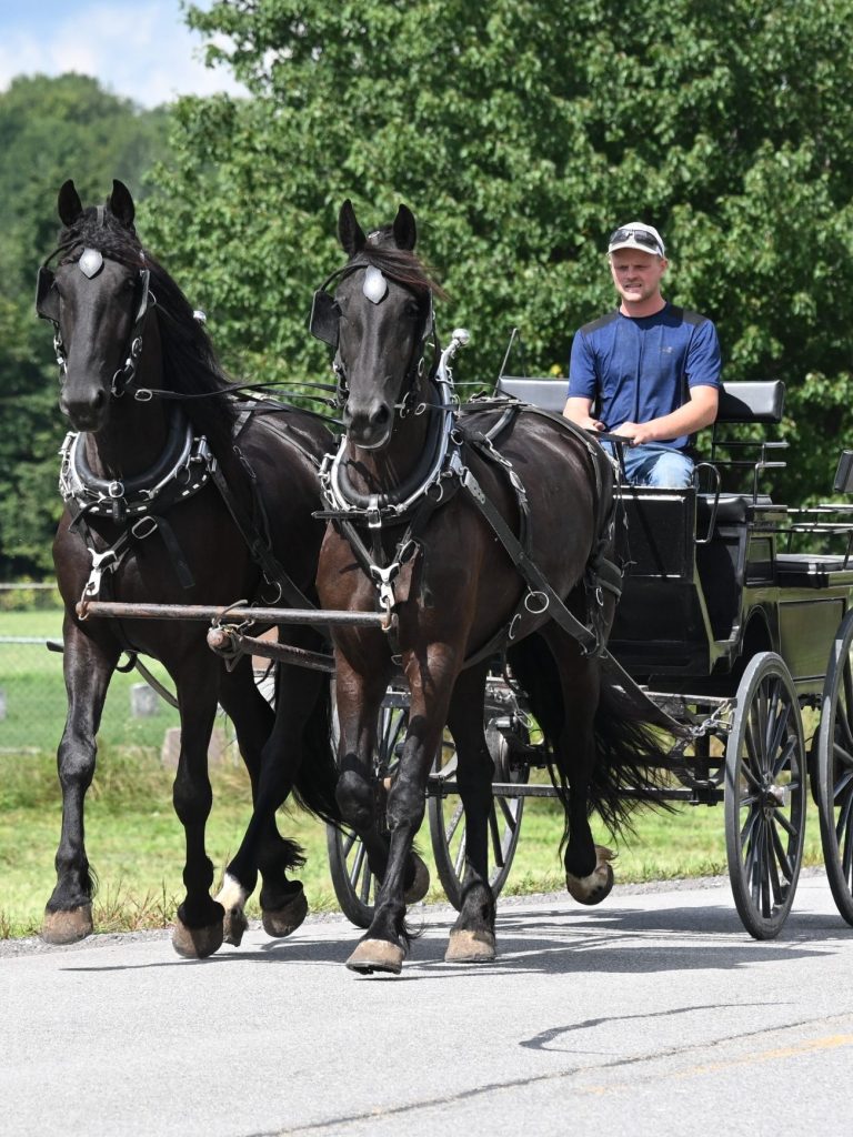 Bonnie_Clyde_IMG_5938