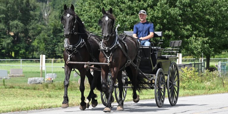 Bonnie_Clyde_IMG_5938