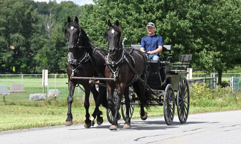 Bonnie_Clyde_IMG_5938