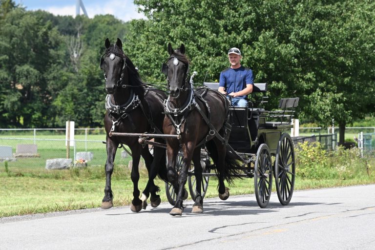 Bonnie_Clyde_IMG_5938