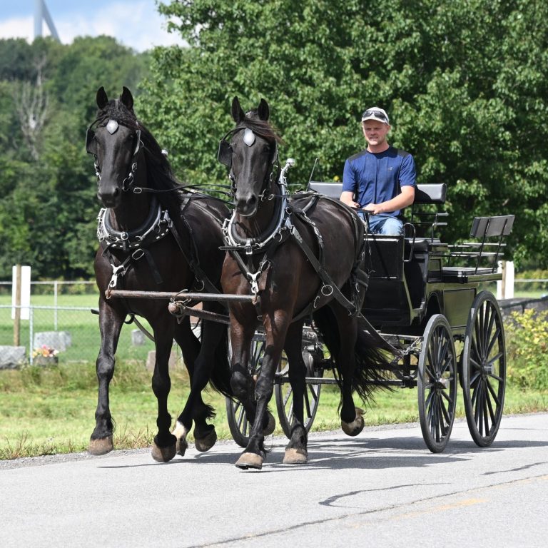 Bonnie_Clyde_IMG_5938