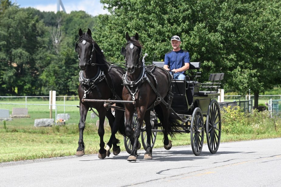 Bonnie_Clyde_IMG_5938