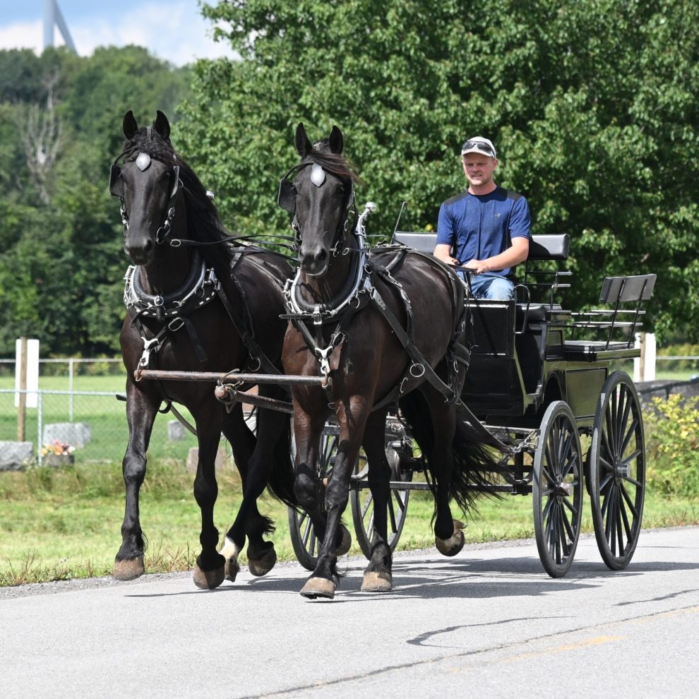 Bonnie_Clyde_IMG_5938