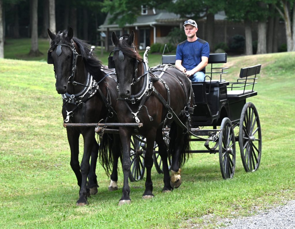 Bonnie_Clyde_IMG_5939